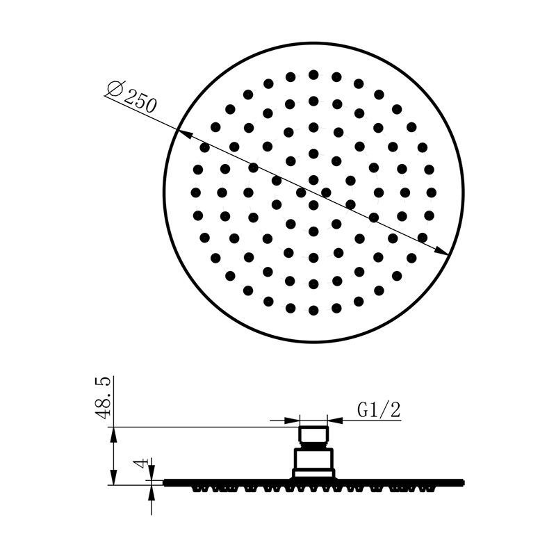 10 Inch Stainless Steel Thickened Shower Head LDDR1001