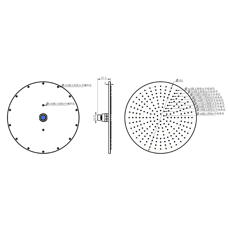 12 Inch Round Brass Shower Head LDBR1201